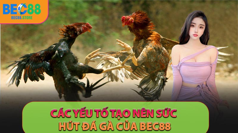 Các yếu tố tạo nên sức hút đá gà của BEC88