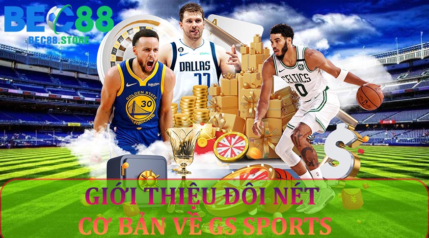 Giới thiệu đôi nét cơ bản về GS Sports