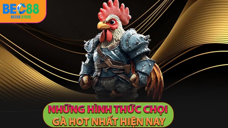 Những hình thức chọi gà HOT nhất hiện nay